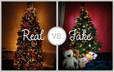 Christmas Tree Facts-Real vs Artificial ⋆ Big Blog Of Gardening