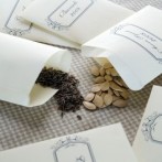 When Do You Start Vegetable Seeds Indoors?