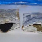 How to start vegetable and flower seeds indoors