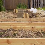 How To Design And Build A Raised Garden Bed