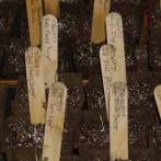 Organic Seed Starting At Light Speed