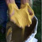 Corn Gluten Meal Kills Lawn Weeds
