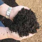 Tips for Making Great Compost