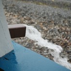 How I Solved Drainage Problems In My Yard Pt 2