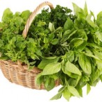 Home Garden Tip:Drying Herbs Quickly