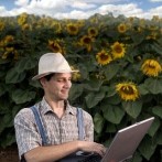 Demand For Organic Food Inspires Tech Solutions For Farmers