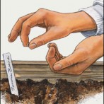 Free Seed Starting Calculator and Garden Planting Calculator