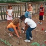 Urban Gardening:Find A Community Garden Near You