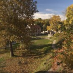 Compost Your Autumn Leaves! Don’t Waste Them!