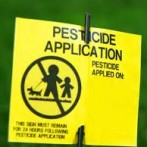 Are Fertilizers Herbicides And Pesticides Safe For Your Lawn?