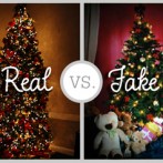 Christmas Tree Facts-Real vs Artificial