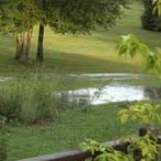 How I Solved Drainage Problems In My Yard Pt 4