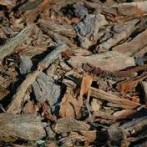 Why wood chips make the best organic mulch
