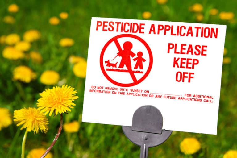 pesticides on lawn