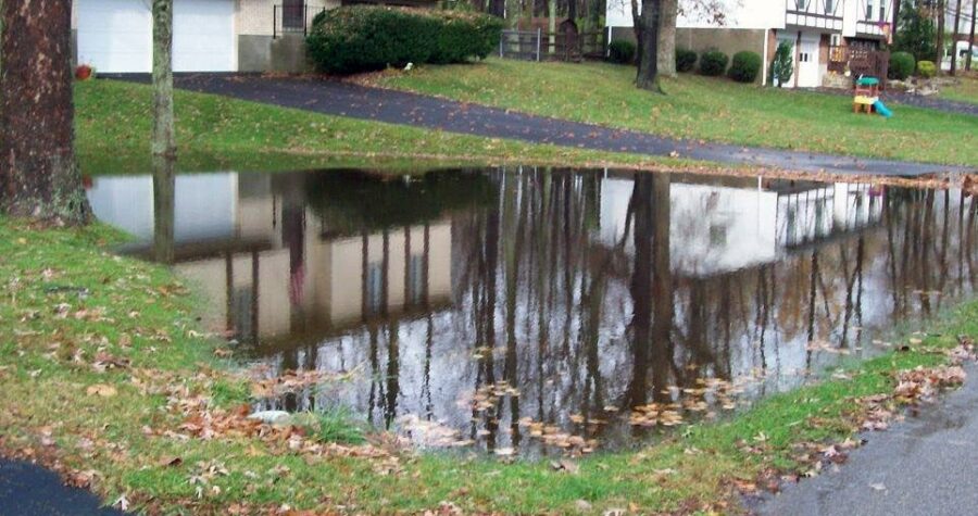 rainwater pooling in yard