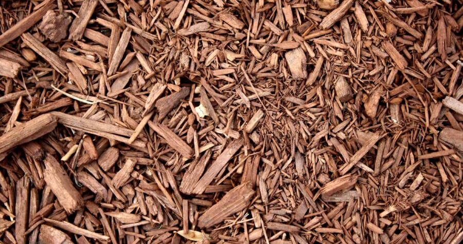 wood chip mulch