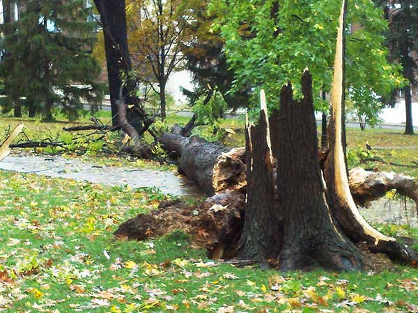 hurricane sandy damage bethlehem pa lehigh university