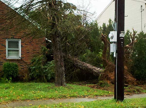hurricane sandy damage bethlehem pa