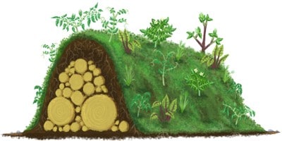 hugelkultur illustration