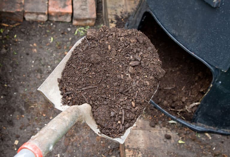 compost on shovel