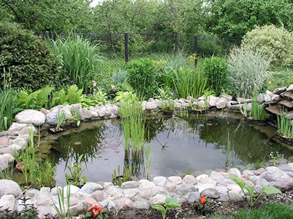 tratamiento de agua de estanque de jardín