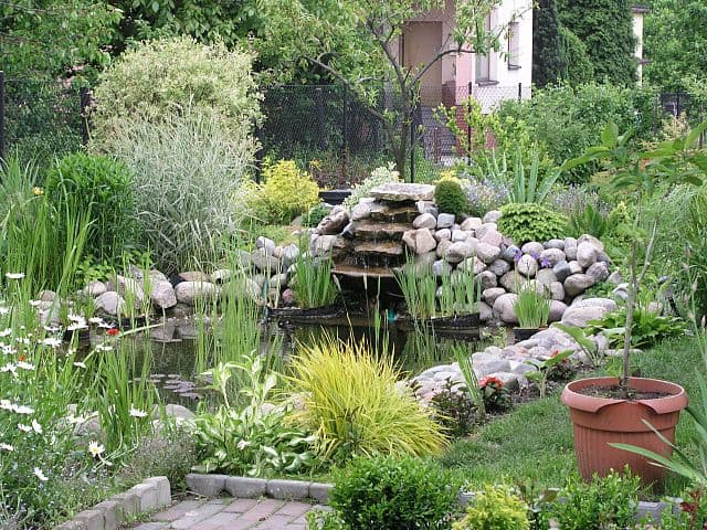 Garden Design Building A Pond