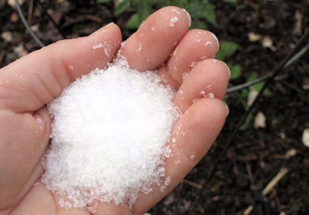 Adding Epsom Salts To Your Garden And Lawn Claims Vs Facts Big