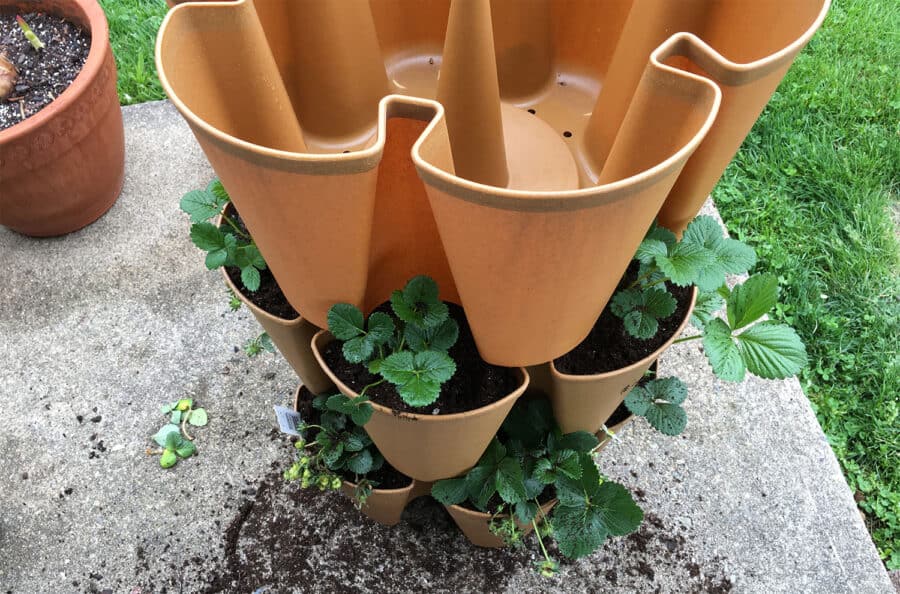 greenstalk planter vertical gardening