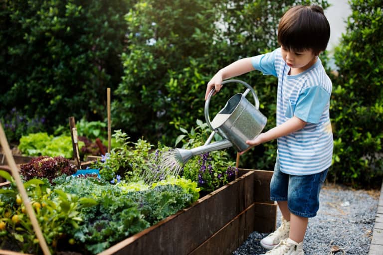teaching kids to garden