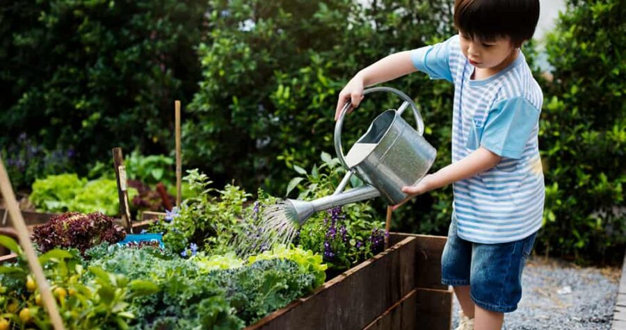 teaching kids to garden