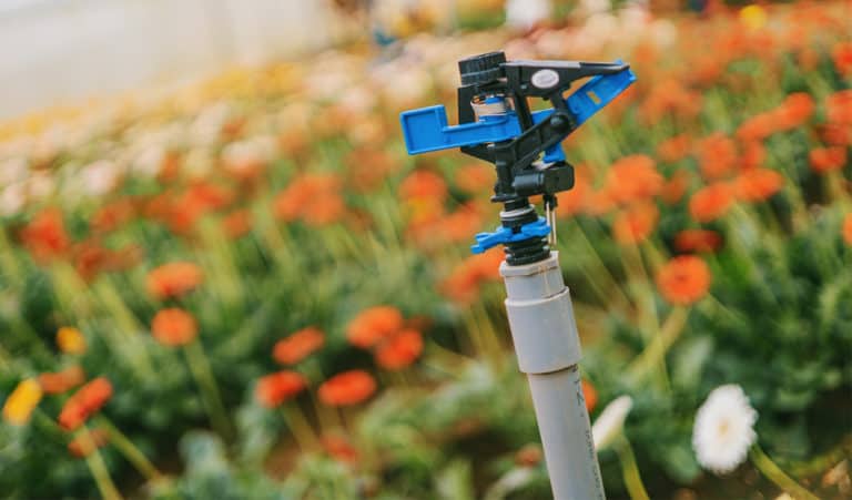 landscape irrigation watering lawn