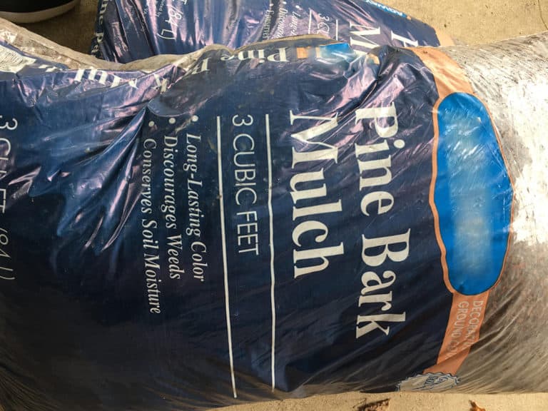 pine bark mulch