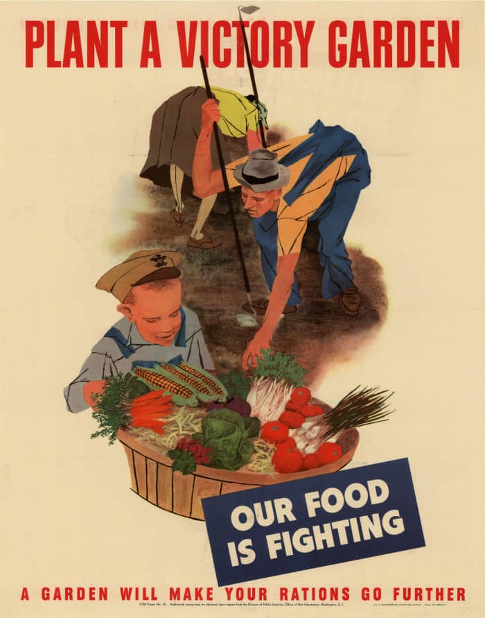 how to plant a victory garden