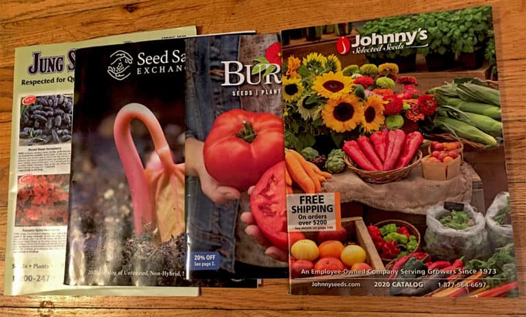 seed catalogs