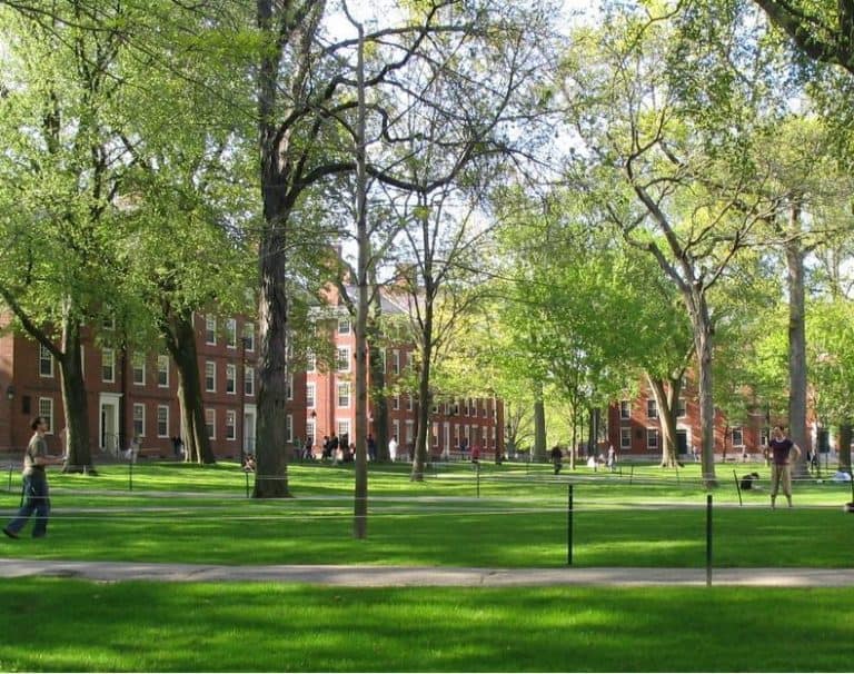 harvard university organic lawn care