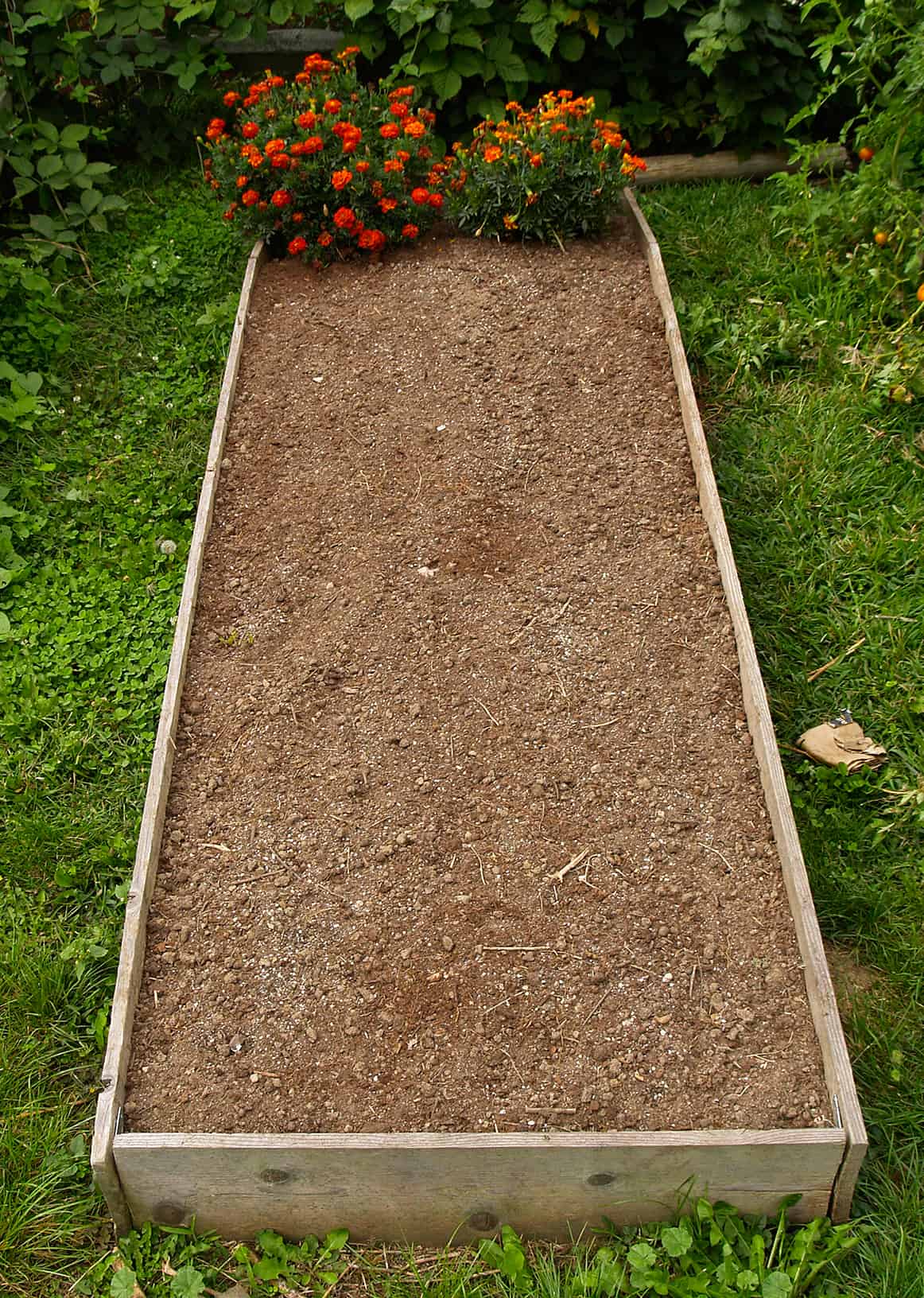 raised garden bed ready for planting
