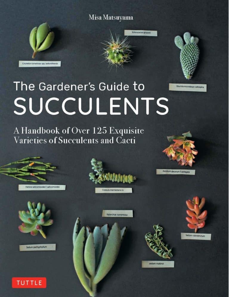 gardeners guide to succulents Misa Matsuyama