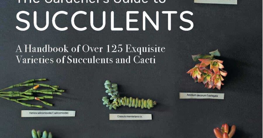 gardeners guide to succulents Misa Matsuyama