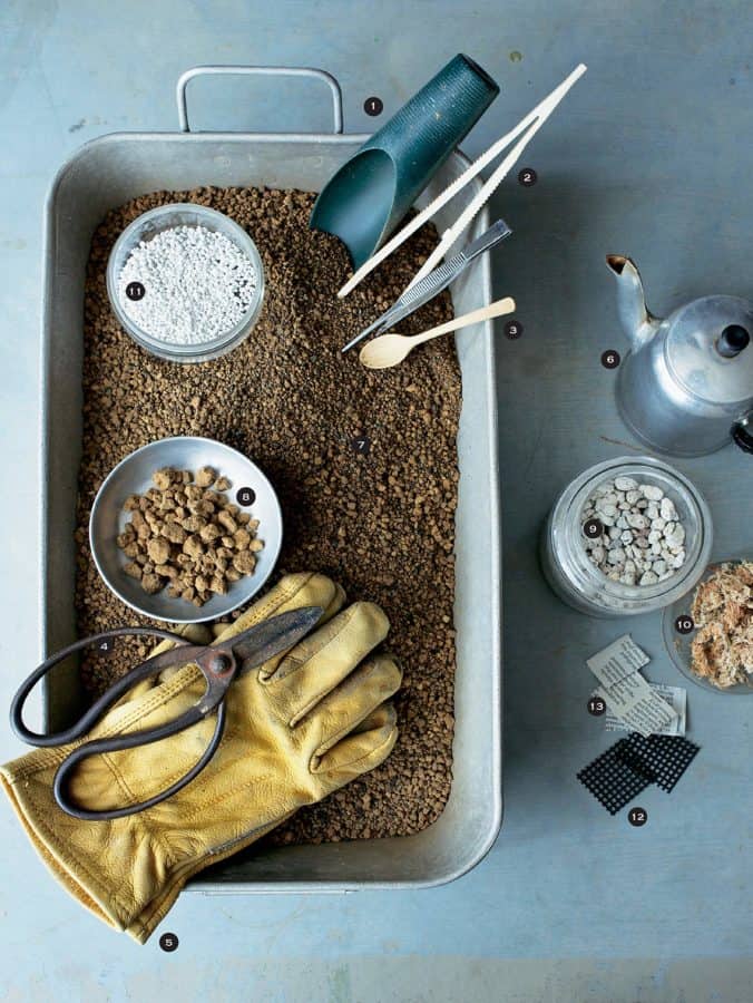 gardeners guide to succulents Misa Matsuyama