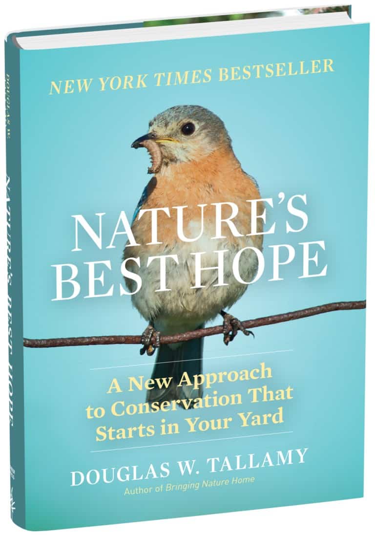 natures best hope, doug tallamy