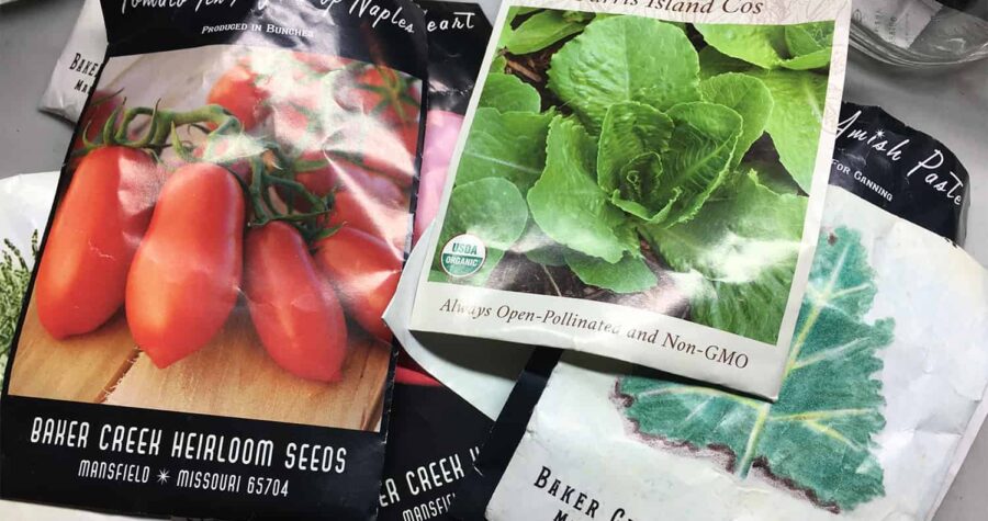 how long can you store garden seeds