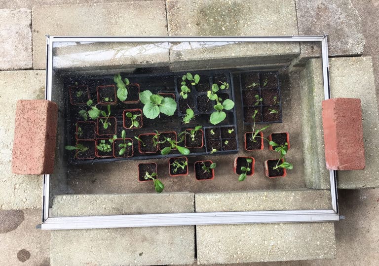 how to build a cold frame