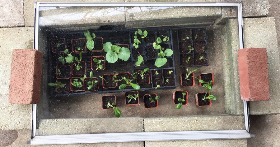 how to build a cold frame