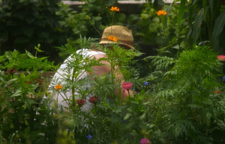 gardening improves health