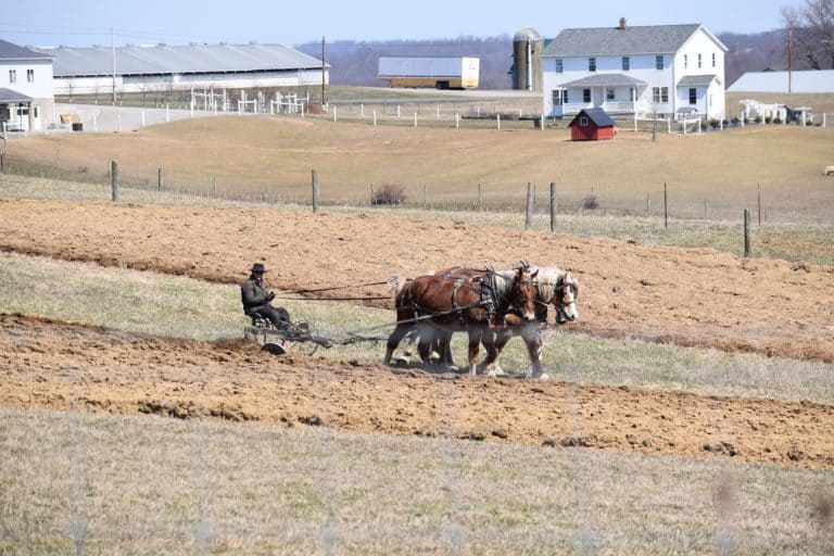 amish farming