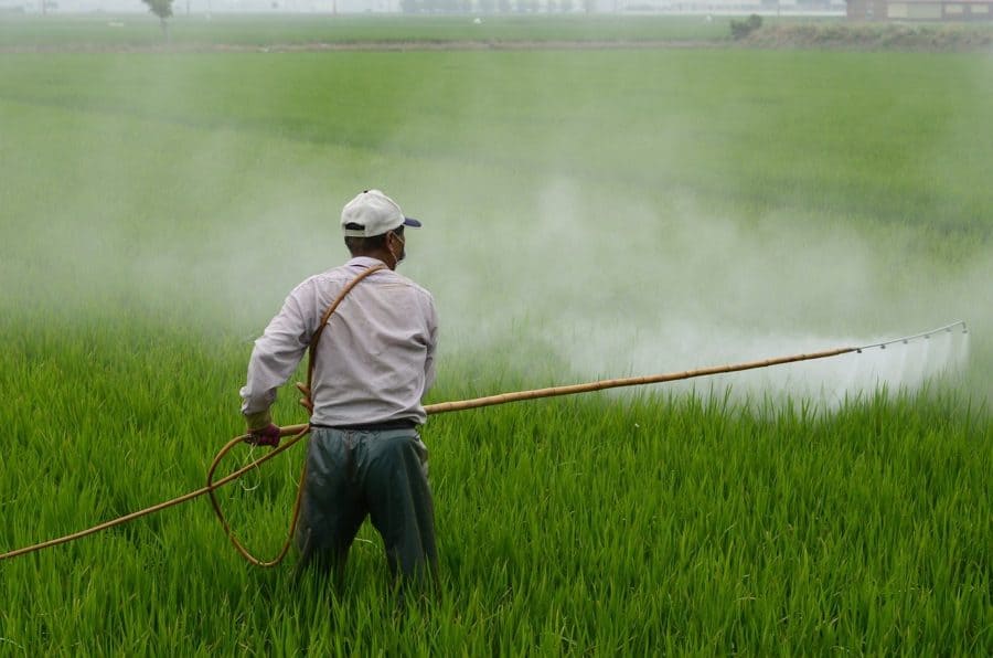 applying pesticide