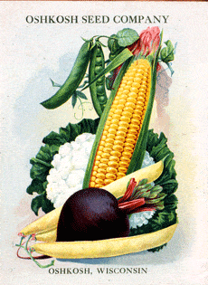 catálogo de la empresa de semillas oshkosh de 1920