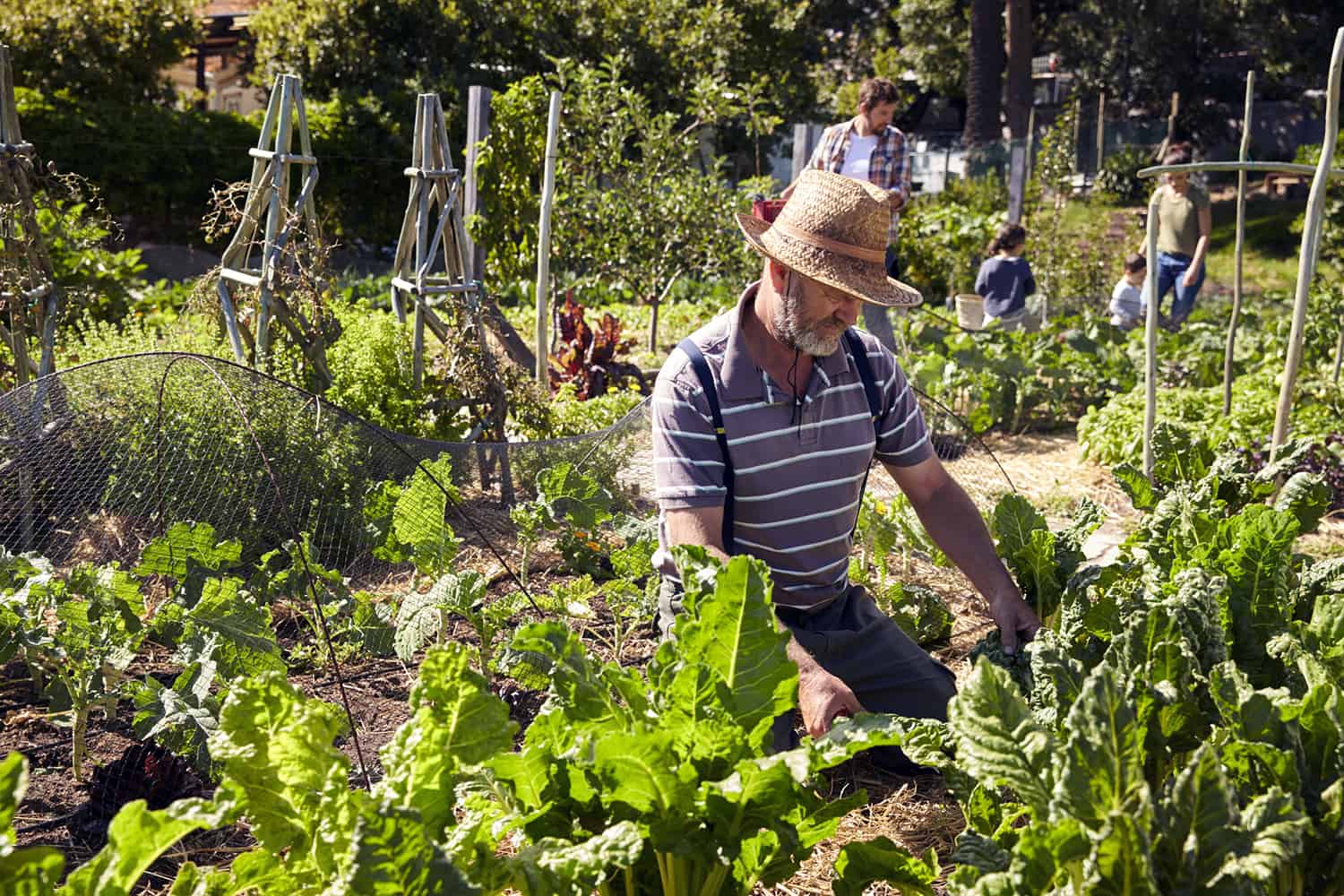 Overcoming addiction through community gardening projects