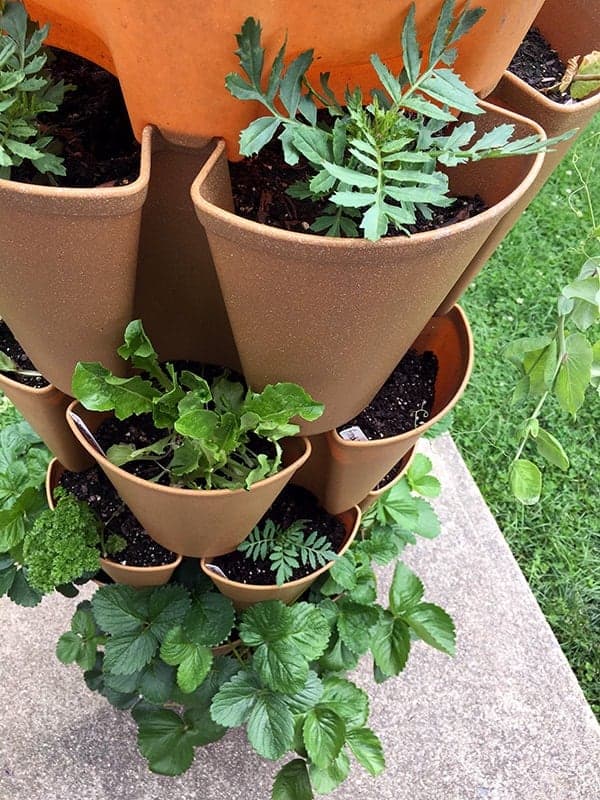 garden product and book reviews