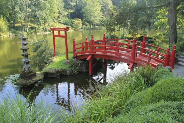 red japanese bridge in garden